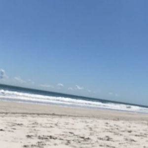 Meet your Posher, Annabelle